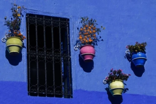 Day Trip to Chefchaouen From Fez with Local Expert - book activity in fes - RENTS.ma