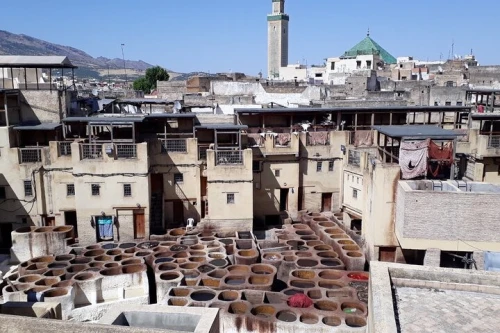 Private Guided Tour of Fes with Pick Up - book activity in fes - RENTS.ma