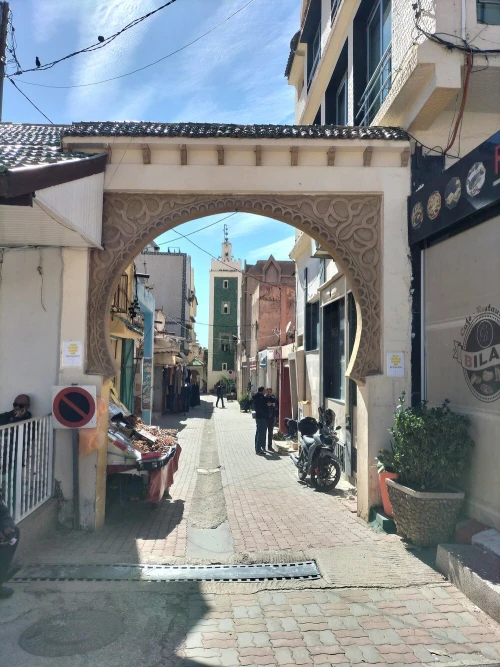 Middle Atlas Mountains, Cedar Forest and Azrou Day Trip from Fez - book activity in fes - RENTS.ma