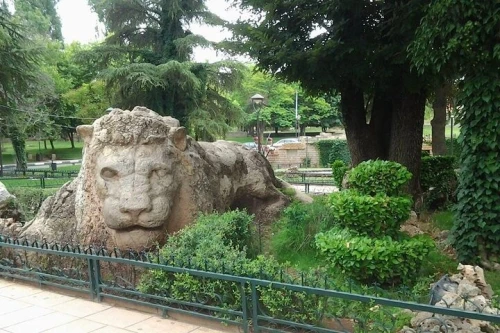Middle Atlas Mountains, Cedar Forest and Azrou Day Trip from Fez - book activity in fes - RENTS.ma