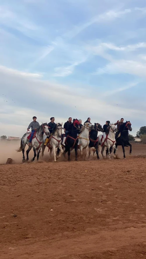 Balades & Équitation à Rabat - book activity in rabat - RENTS.ma