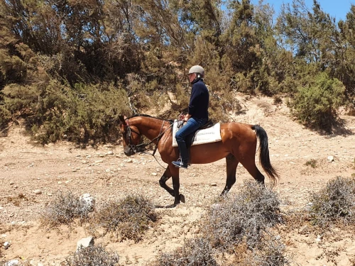 Horse riding in Essaouira - EquiEvasion - book activity in essaouira - RENTS.ma