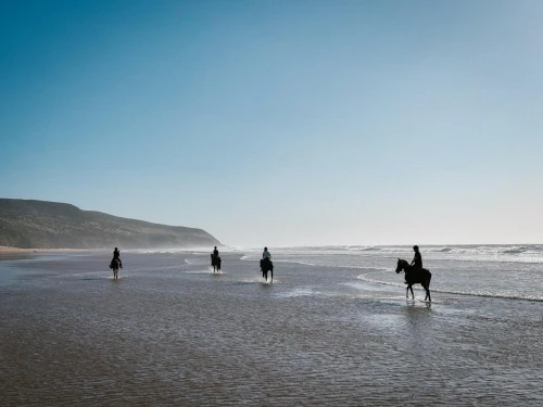 Horse riding in Essaouira - EquiEvasion - book activity in essaouira - RENTS.ma