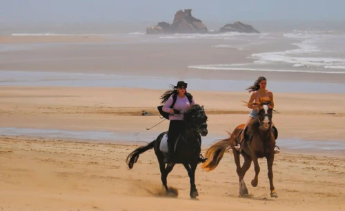 Horse riding in Essaouira - EquiEvasion - book activity in essaouira - RENTS.ma