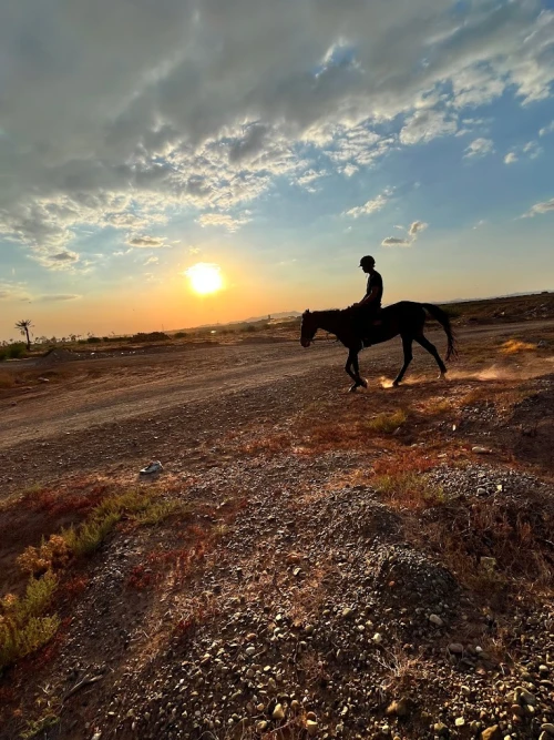 Equestrian & Horseback Riding Adventures - book activity in rabat - RENTS.ma