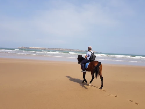 Equestrian & Horseback Riding Adventures - book activity in rabat - RENTS.ma