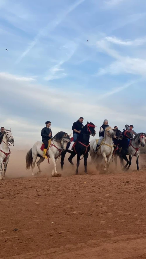 Equestrian & Horseback Riding Adventures - book activity in rabat - RENTS.ma