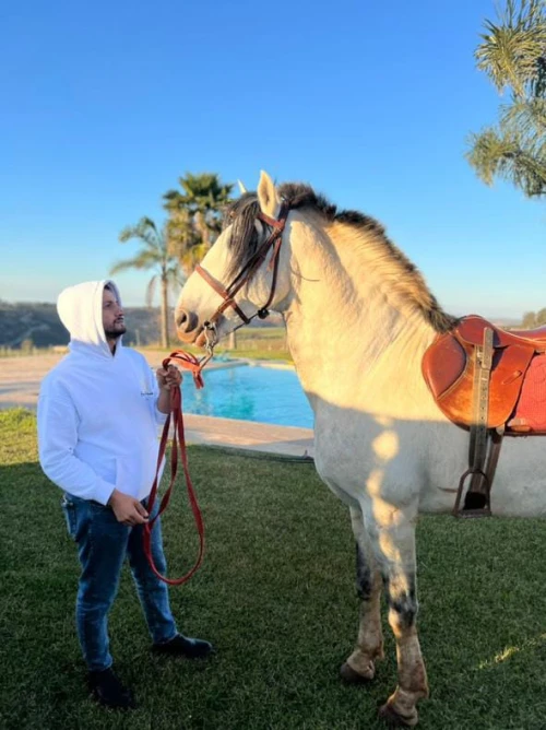 Horseback Riding Rabat - book activity in rabat - RENTS.ma