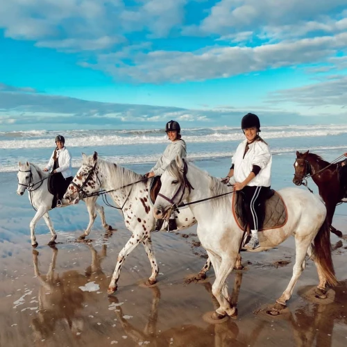 Horseback Riding Rabat - book activity in rabat - RENTS.ma