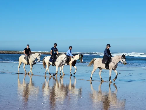 Horse Riding in Rabat - book activity in rabat - RENTS.ma