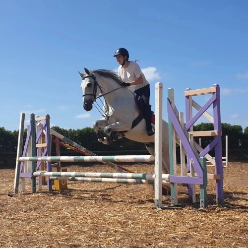 Horseback Riding in Rabat  - Equestrian Sport - book activity in rabat - RENTS.ma