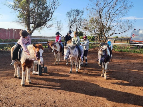 Horseback Riding in Rabat  - Equestrian Sport - book activity in rabat - RENTS.ma
