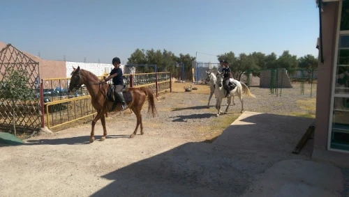 Club Al Adarissa d'Équitation – Fès - book activity in fes - RENTS.ma
