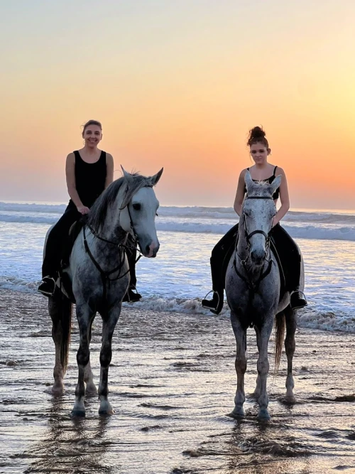 Cheval Essaouira - Horseback Riding - book activity in essaouira - RENTS.ma