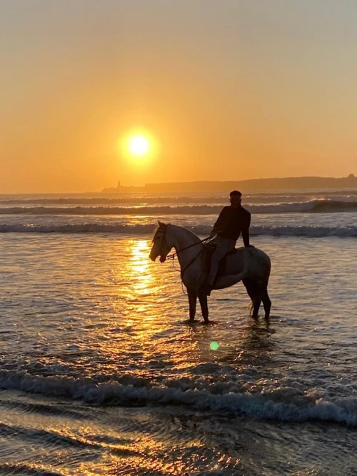 Horseback Riding - Les Cavaliers D’Essaouira - book activity in essaouira - RENTS.ma