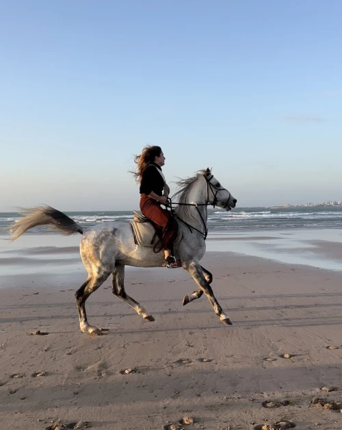 Horseback Riding - Les Cavaliers D’Essaouira - book activity in essaouira - RENTS.ma