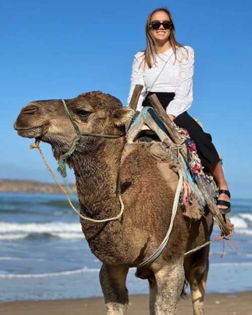 Camel Ride in Paradise – Essaouira - book activity in essaouira - RENTS.ma