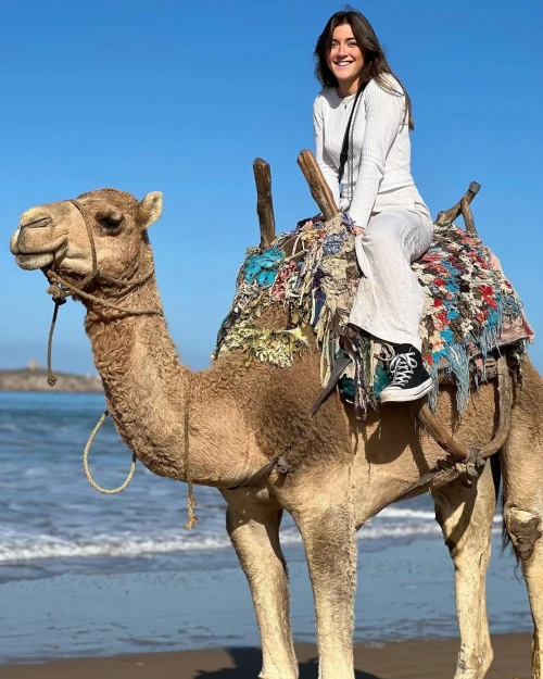 Camel Ride in Paradise – Essaouira - book activity in essaouira - RENTS.ma