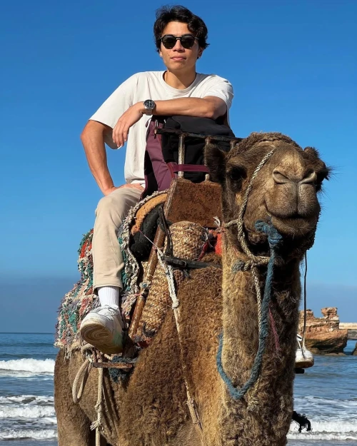 Camel Ride in Paradise – Essaouira - book activity in essaouira - RENTS.ma