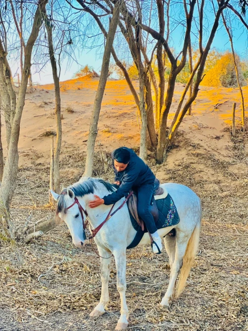 Horseback Riding in Essaouira - book activity in essaouira - RENTS.ma