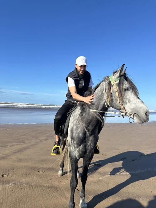 Horseback Riding El Jadida - Club d'équitation - book activity in el-jadida - RENTS.ma