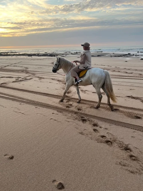 Balade à cheval au coucher du soleil – Casablanca 🌅 - book activity in casablanca - RENTS.ma