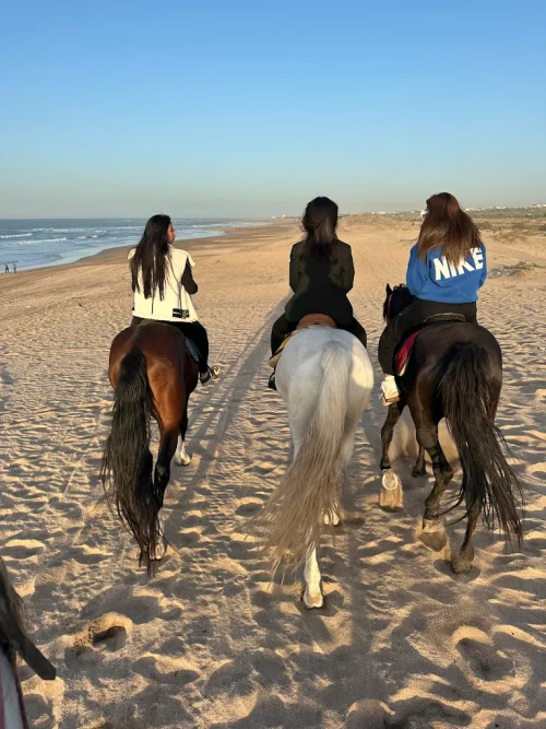 Balade à cheval au coucher du soleil – Casablanca 🌅 - book activity in casablanca - RENTS.ma