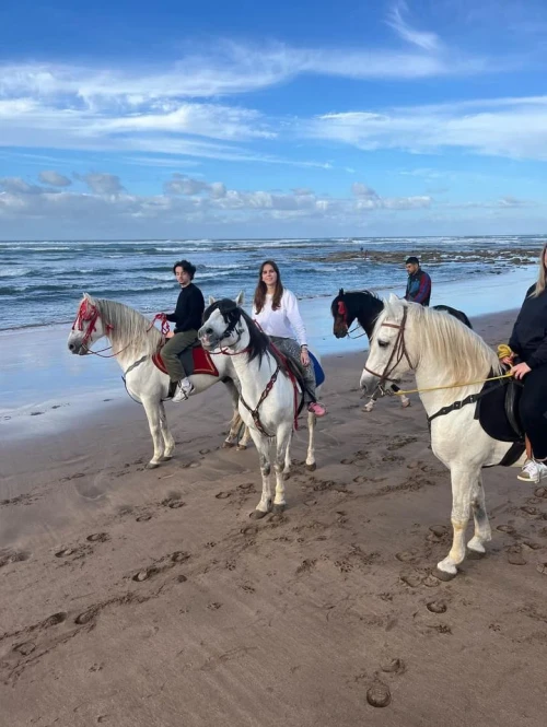 Balade à cheval au coucher du soleil – Casablanca 🌅 - book activity in casablanca - RENTS.ma