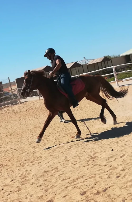 Horse Riding in Dakhla – Ride Between Desert & Ocean 🌊🏜️ - book activity in dakhla - RENTS.ma