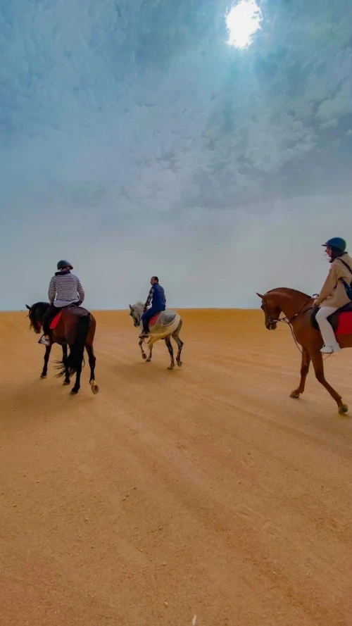 Horse Riding in Dakhla – Ride Between Desert & Ocean 🌊🏜️ - book activity in dakhla - RENTS.ma