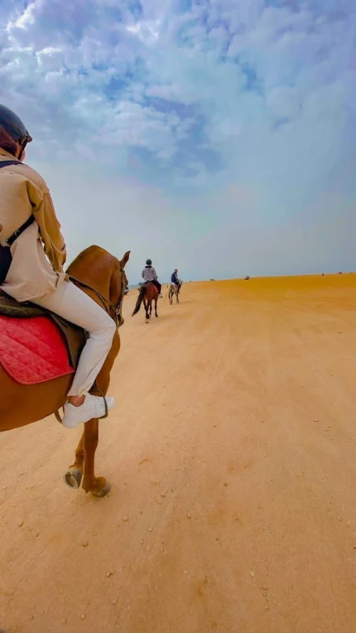 Horse Riding in Dakhla – Ride Between Desert & Ocean 🌊🏜️ - book activity in dakhla - RENTS.ma