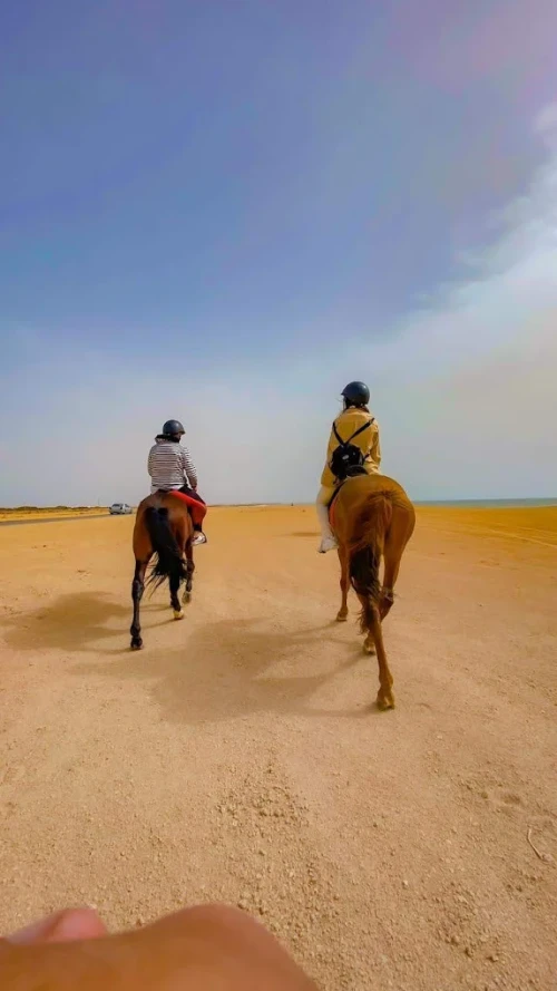 Horse Riding Dakhla – Between Ocean Waves 🌊 & Desert Dunes 🏜️ - book activity in dakhla - RENTS.ma