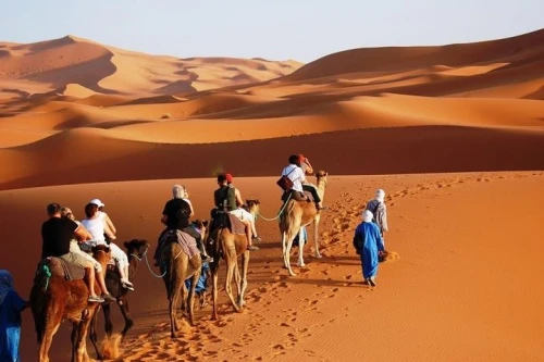 ✅ Camel Ride and Overnight in Sahara Desert Camp - book activity in errachidia - RENTS.ma