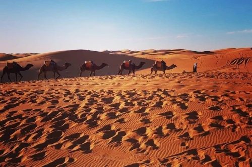 Sunset in Merzouga Sahara Desert & Camel Ride Erg Chebbi Dunes - book activity in errachidia - RENTS.ma