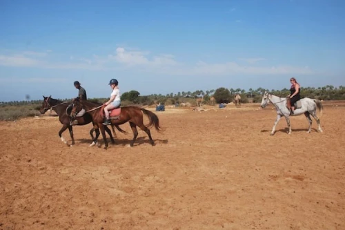 Horse ride tour in Agadir - book activity in agadir - RENTS.ma