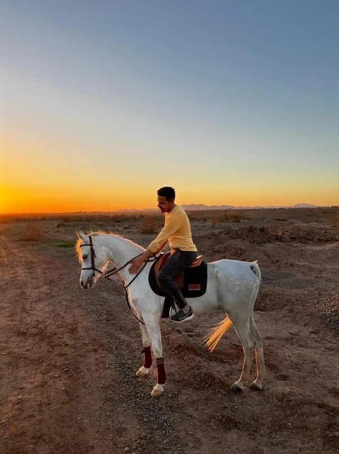 Marrakech : Visite privée à cheval dans la palmeraie avec thé - book activity in marrakech - RENTS.ma