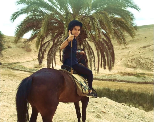 Marrakech: Palm Grove Horseback Riding Tour - book activity in marrakech - RENTS.ma