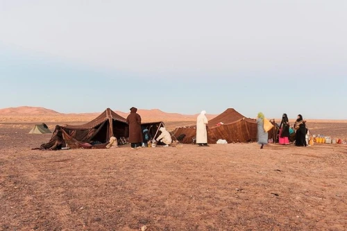 Berber Experience: Private Sahara Desert Half-Day Trip - book activity in errachidia - RENTS.ma