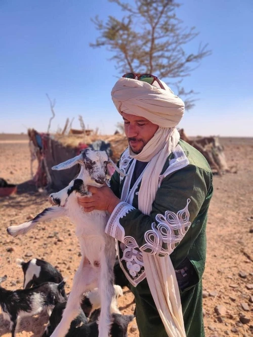 Berber Experience: Private Sahara Desert Half-Day Trip - book activity in errachidia - RENTS.ma