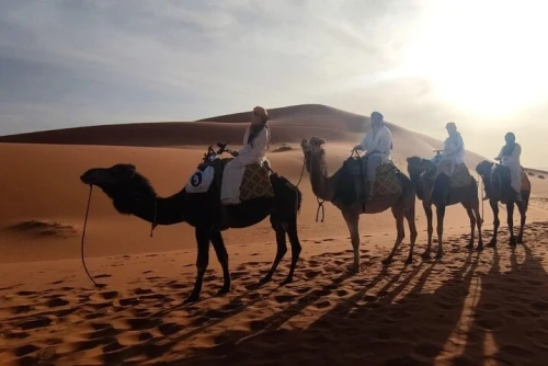 Sunset in Merzouga Sahara Desert & Camel Ride Erg Chebbi Dunes - book activity in errachidia - RENTS.ma