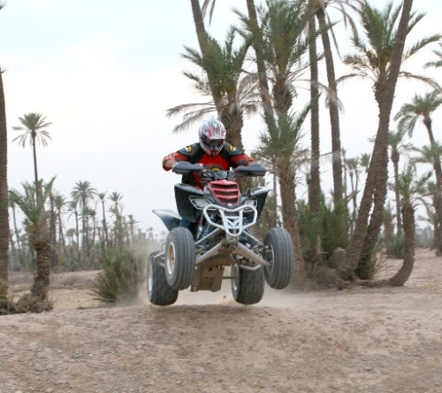 Quads & Buggys dans la Palmeraie - Marrakech - book activity in marrakech - RENTS.ma