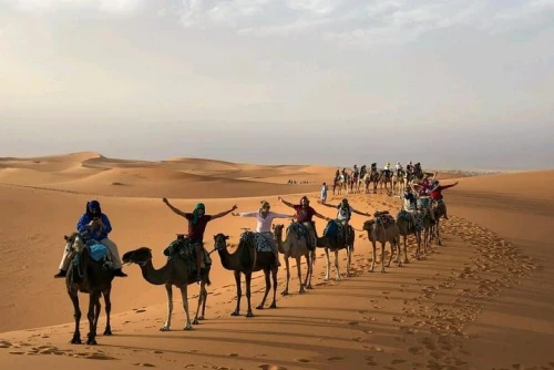 ✅ Camel Ride and Overnight in Sahara Desert Camp - book activity in errachidia - RENTS.ma