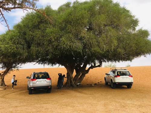 Agadir Journey -  airport taxi agadir - airport-taxis for rent in agadir - RENTS.ma