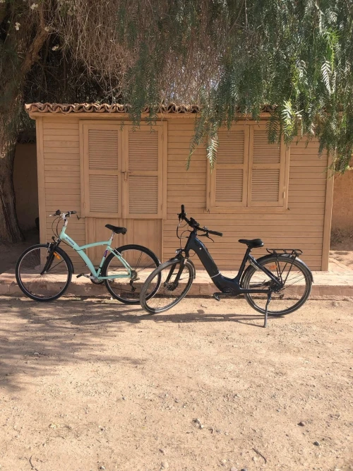 Thami Bike Tours Taroudant – Kasbah Visit & Artisanal Palace Experience - bicycles for rent in taroudant - RENTS.ma