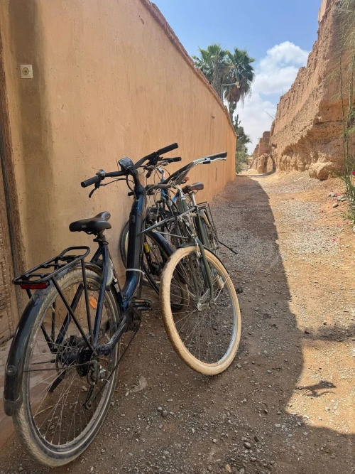 Thami Bike Tours Taroudant – Kasbah Visit & Artisanal Palace Experience - bicycles for rent in taroudant - RENTS.ma