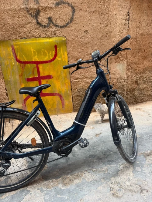 Thami Bike Tours Taroudant – Kasbah Visit & Artisanal Palace Experience - bicycles for rent in taroudant - RENTS.ma