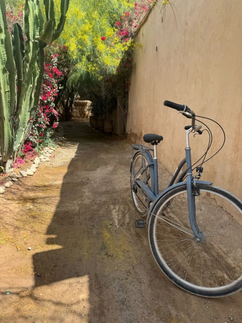 Thami Bike Tours Taroudant – Kasbah Visit & Artisanal Palace Experience - bicycles for rent in taroudant - RENTS.ma