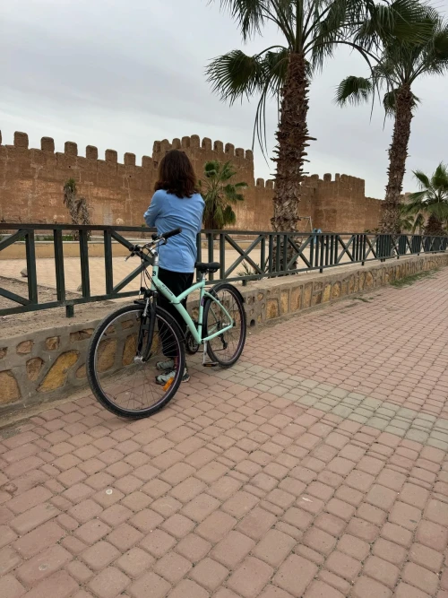 Bike Rental in Taroudant - bicycles for rent in taroudant - RENTS.ma