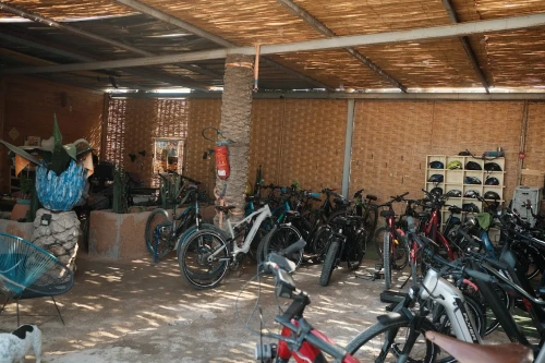 Bikes Trekking for Rents Agadir - bicycles for rent in agadir - RENTS.ma