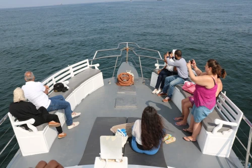 Galaxy Loisirs-  Boat Rental - Excursions & Activities - boats for rent in agadir - RENTS.ma